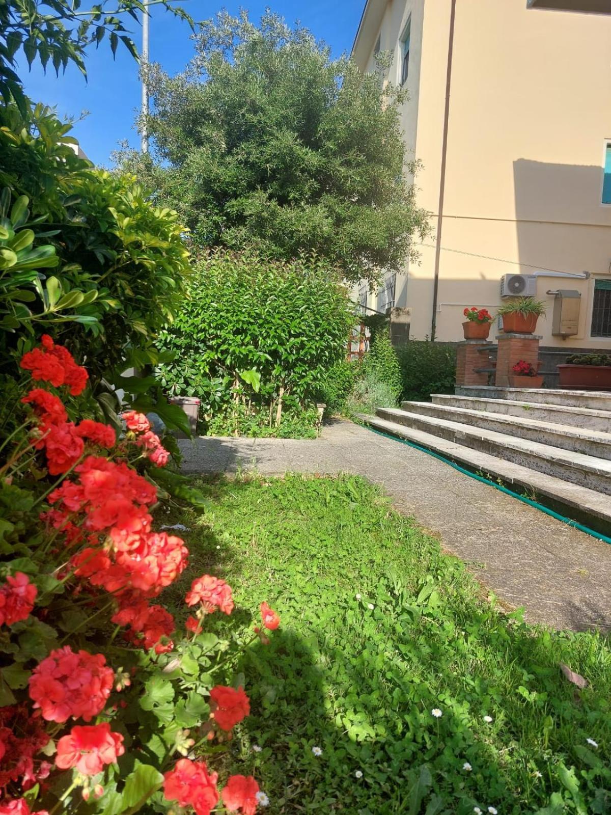 Villa Mehari Pisa Exteriör bild
