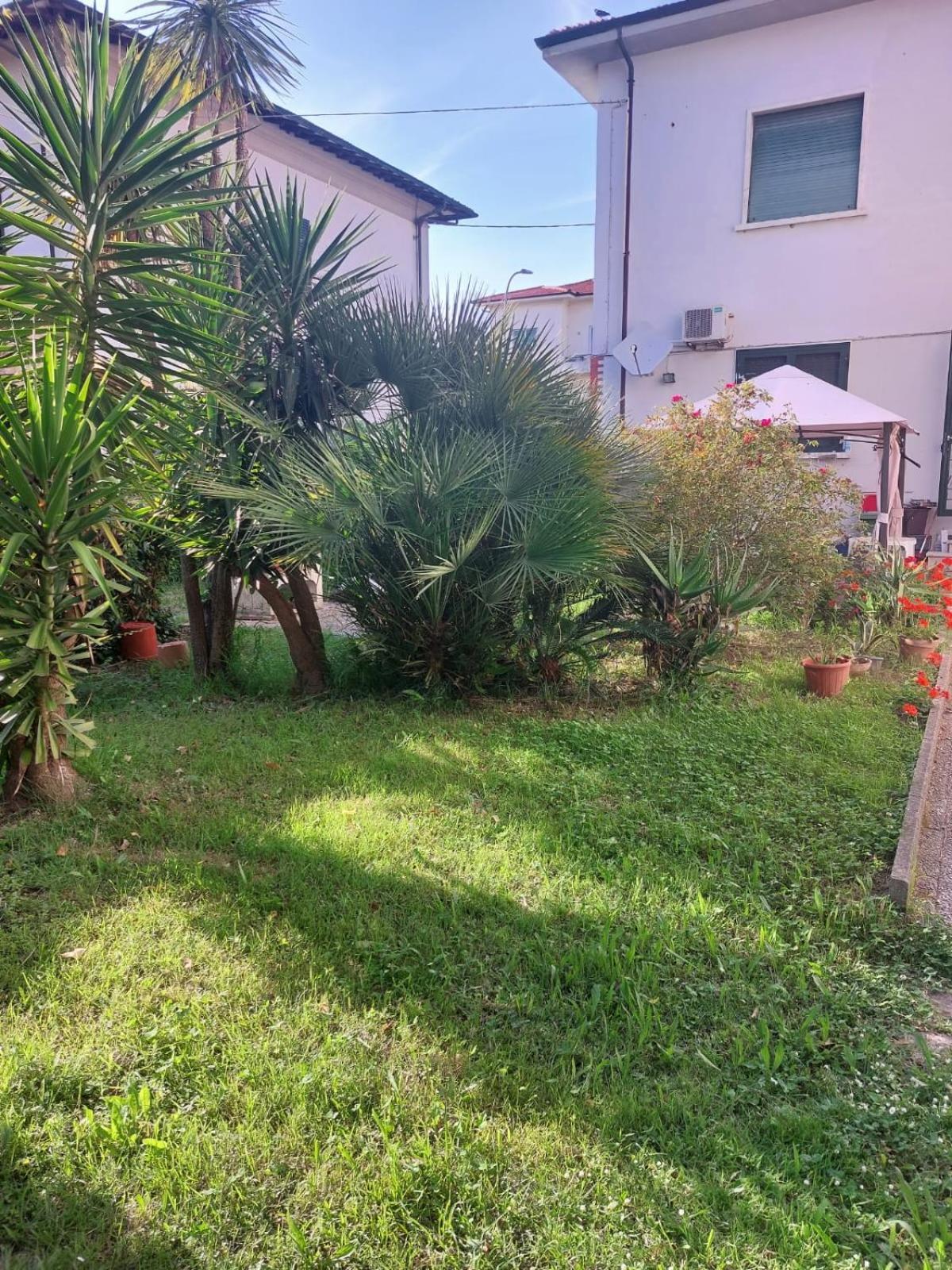 Villa Mehari Pisa Exteriör bild
